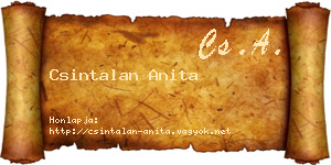 Csintalan Anita névjegykártya