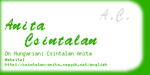 anita csintalan business card